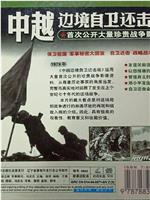 战争档案--中越边境自卫还击战在线观看