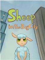 城市小绵羊在线观看