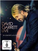 David Garrett Live in Berlin在线观看