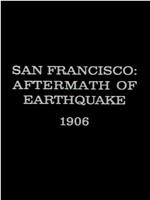 旧金山：地震后果在线观看