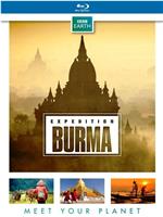 野性缅甸：失落的自然王国在线观看