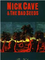 Nick Cave & the Bad Seeds: The Videos在线观看