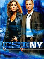 犯罪现场调查：纽约 第四季在线观看