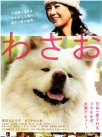 秋田犬蓬夫