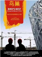 鸟巢：赫尔佐格和德梅隆在中国在线观看
