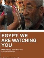 埃及民主观察站在线观看