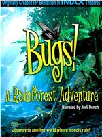 虫子：热带雨林冒险