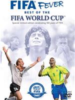 FIFA100国际足联百年百星纪念：限量收藏版在线观看