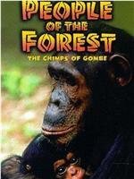 People of the Forest: The Chimps of Gombe