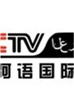 CCTV-阿拉伯在线观看