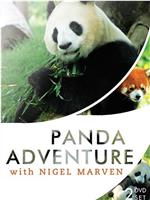 马文的熊猫王国历险记在线观看