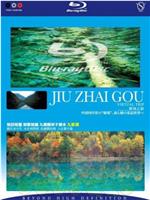 实境之旅-九寨沟