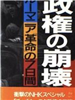 齐奥塞斯库政权的崩溃·市民拍摄的7日革命