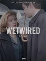 The X Files - Season 3, Episode 23: Wetwired在线观看