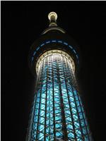 纪实72小时：东京晴空塔下在线观看