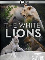 白狮成长记在线观看