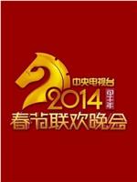 2014年中央电视台春节联欢晚会ed2k分享