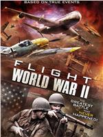空中世界二战