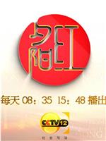 夕阳红