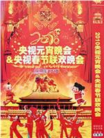 2010年中央电视台元宵晚会