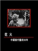 花火——中国当代艺术30年在线观看