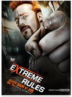 WWE:极限规则 2013在线观看