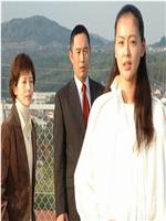 新科捜研之女2008特别篇在线观看