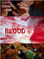 探索血液