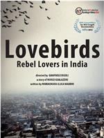 爱情鸟：反叛的印度情侣们在线观看