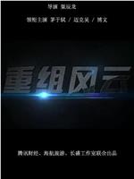 重组风云