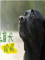 导盲犬珍妮