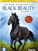 The New Adventures of Black Beauty