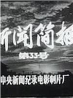 新闻简报1974年第33号