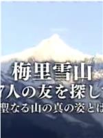 梅里雪山：寻找17位友人在线观看