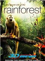 热带雨林生物探奇