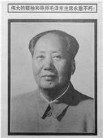 伟大的领袖和导师毛泽东主席永垂不朽在线观看