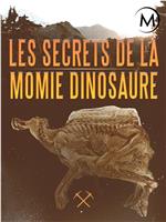 恐龙化石的秘密在线观看