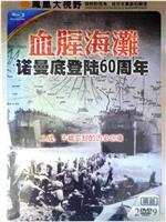 血腥海滩-诺曼底登陆60周年