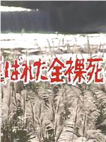 混浴岩風呂連続殺人・にせ夫婦東北ツアー 運ばれた全裸死体