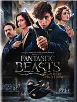 Fantastic Beasts and Where to Find Them: Newt