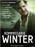 Kommissarie Winter在线观看