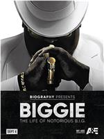 Biggie: The Life of Notorious B.I.G.在线观看