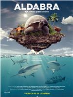 Aldabra: Once Upon an Island在线观看