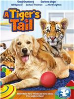 A Tiger’s Tail