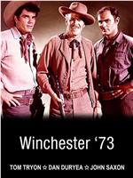 Winchester 73在线观看