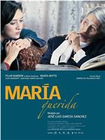 María querida在线观看