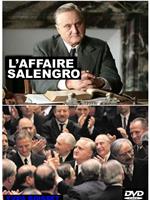 L'affaire Salengro在线观看