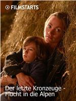 Der letzte Kronzeuge在线观看