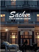 萨赫酒店 第一季在线观看