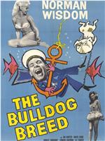 The Bulldog Breed在线观看
